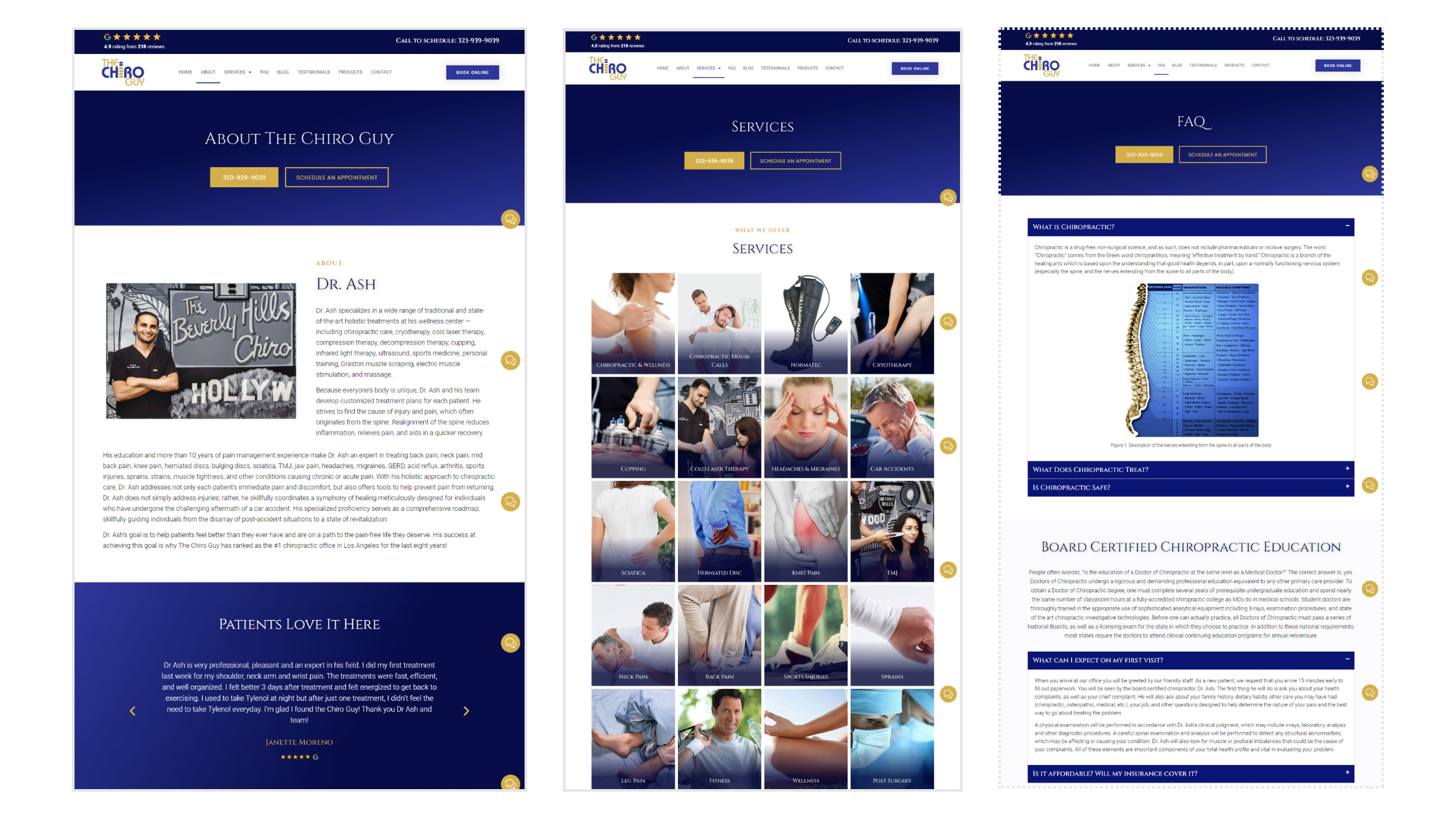Thechiroguy - Home Page (2) Thechiroguy Home Page 2
